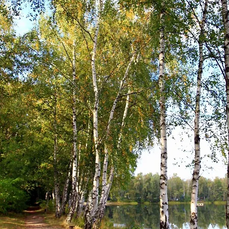 Am Springhorstsee Отель 3*