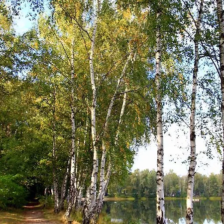 Am Springhorstsee Großburgwedel